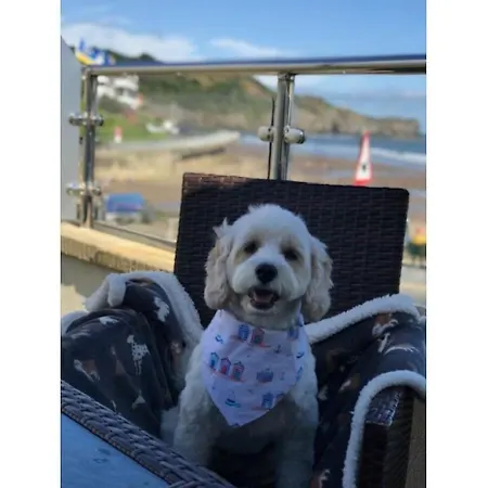 Vakantiehuis Turnstone *