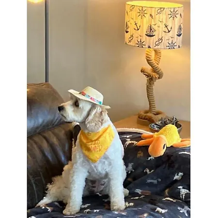 Tatil Evi Turnstone *